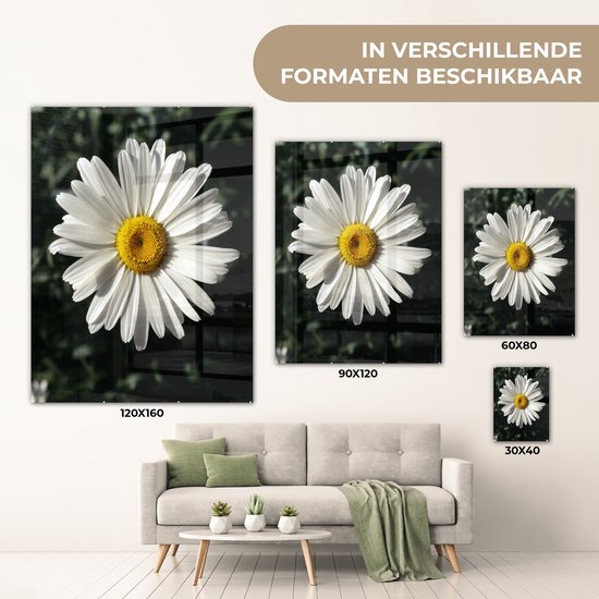 MuchoWow® Peinture sur Verre - Marguerite - 60x80 cm - Peintures sur Verre Acrylique - Photo sur Glas