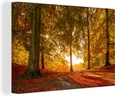 Le soleil d'automne brille à travers une forêt près de la toile danoise Aarhus 120x80 cm - Tirage photo sur toile (Décoration murale salon / chambre)
