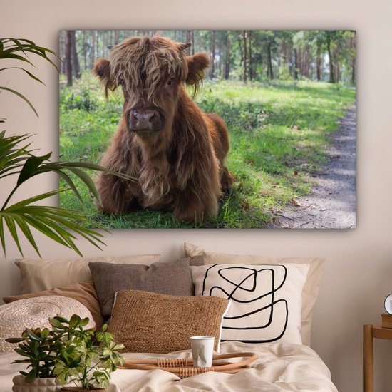 Tableau sur Toile Scottish Highlander - Crapaud - Animaux - 120x80 cm - Décoration murale