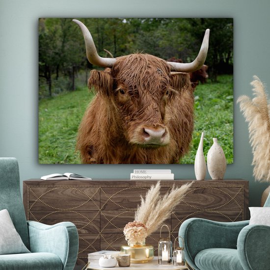 Tableau sur toile Highlander écossais - Animaux - Herbe - 160x120 cm - Décoration murale XXL