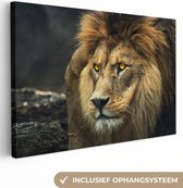 Peintures sur toile Lion - Portrait - Sauvage - 180x120 cm - Décoration murale XXL
