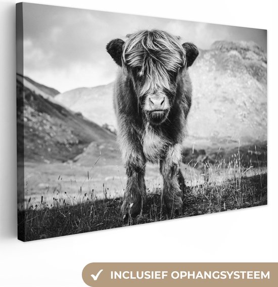 Schotse hooglander schilderijen – De Muurdecoratie