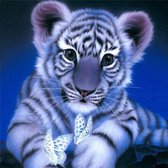 Premium Paintings - Diamond Painting Volwassenen - Diamond Painting Kinderen - Tijger - 20x20cm