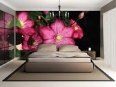 Flowers Natur Photo Wallcovering