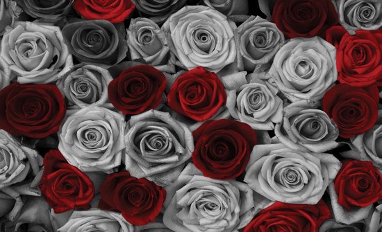 Grey Red Roses Red Grey Roses Flowers Vintage Photo Wallcovering | bol.com