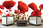 Flowers Poppies Field Nature Photo Wallcovering