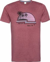 Protest Haswell t-shirt heren - maat xl