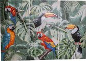 PTMD Daira mixed wooden panel toucan parrot rect sv3