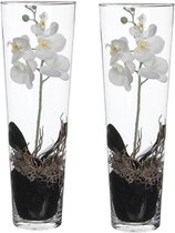 Set van 2 Witte Orchidee/Phalaenopsis kunstplanten 50 cm in vaas voor binnen - Kunstplanten/nepplanten/binnenplanten