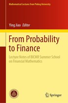 Mathematical Lectures from Peking University - From Probability to Finance