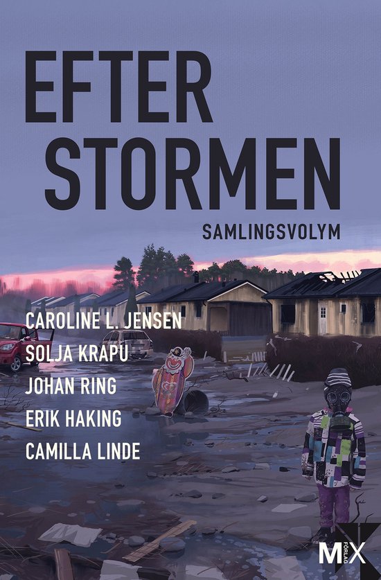 Efter stormen - Efter stormen : utökad samlingsvolym - cover