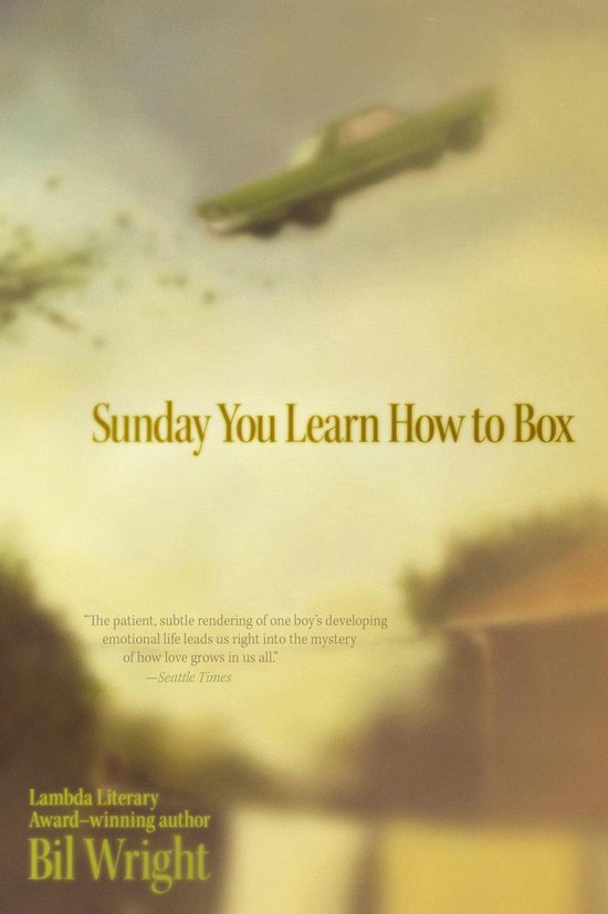 Sunday You Learn How to Box - cover