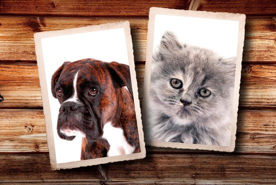 Paillasson photo chat et chien - 50 x 80 cm