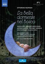 Shoushik Barsoumian - Angela Nisi - Veta Pilipenko - La Bella Dormente Nel Bosco (DVD)