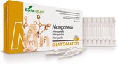 Soria Diatonato 1 Manganeso 28 Ampollas X 2ml