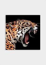 Poster Leopard Roar - Plexiglas - Meerdere Afmetingen & Prijzen | Wanddecoratie - Interieur - Art - Wonen - Schilderij - Kunst