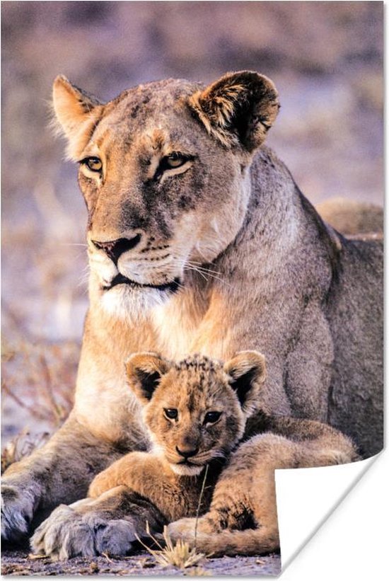 Poster Lionne Et Lionceau 75x150 Cm Tirage Photo Sur Poster Decoration Murale Salon Bol Com Poster Lionne Et Lionceau 75x150 Cm Tirage Photo Sur Poster Decoration Murale Salon Bol Com