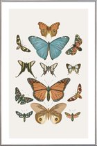 JUNIQE - Poster met kunststof lijst Vlinders -60x90 /Grijs & Ivoor
