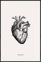 JUNIQE - Poster in kunststof lijst Menselijk hart -60x90 /Grijs &
