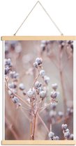 JUNIQE - Posterhanger Cotton Buds -40x60 /Paars & Roze