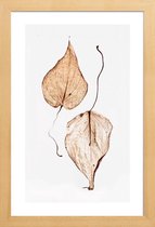 JUNIQE - Poster in houten lijst Delicate Leaves -40x60 /Bruin & Groen