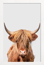 JUNIQE - Poster in houten lijst Highland Cow -60x90 /Bruin