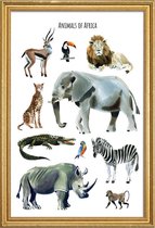 JUNIQE - Poster met houten lijst Animals of Africa -30x45 /Bruin &