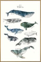 JUNIQE - Poster met kunststof lijst Walvissen illustratie -30x45