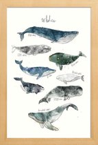 JUNIQE - Poster met houten lijst Walvissen illustratie -30x45 /Blauw &