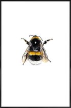 JUNIQE - Poster in kunststof lijst Bumblebee -30x45 /Geel & Wit