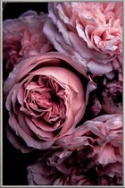 JUNIQE - Poster met kunststof lijst Vintage Pink -40x60 /Roze