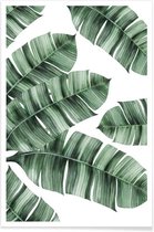 JUNIQE - Poster Palmbladeren -30x45 /Groen & Wit