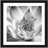 Foto in frame , Witte bloem ​, 70x100cm , Zwart wit  , Premium print
