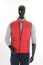 Hackett - Bodywarmer - Rood