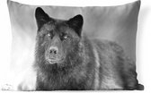 Buitenkussens - Tuin - Close-up van een zwarte wolf - zwart-wit - 60x40 cm