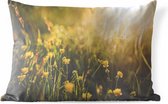 Buitenkussens - Tuin - Close-up van bloemen tijdens zonsopkomst - 50x30 cm