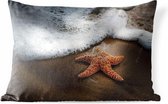 Sierkussen Zeester voor buiten - Eenzame zeester op het strand - 50x30 cm - rechthoekig weerbestendig tuinkussen / tuinmeubelkussen van polyester