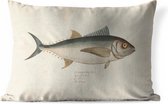Buitenkussens - Tuin - Een vintage illustratie van een vis - 60x40 cm
