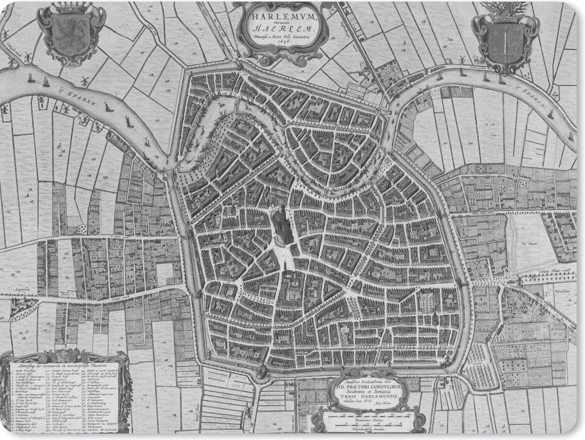 Muismat Historische stadskaarten - Zwart witte en historische stadskaart van Haarlem muismat rubber - 23x19 cm - Muismat met foto