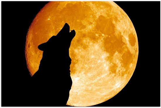 Poster – Silhouette van Wolf bij Maan - 90x60cm Foto op Posterpapier