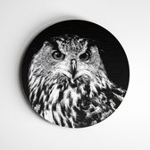 Muurcirkel uil zwart wit | Exclusive Animals | wanddecoratie - 40x40cm