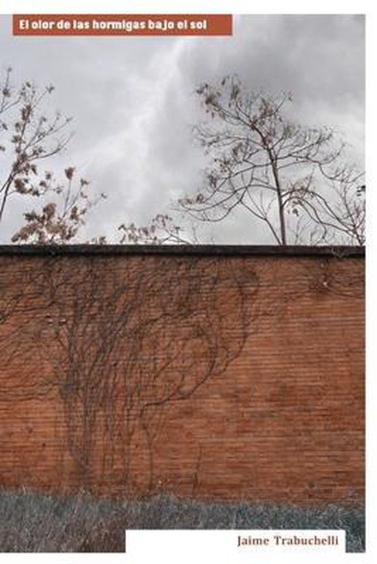 El olor de las hormigas bajo el sol - cover