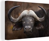 Canvas Schilderij Portret van een buffel - 90x60 cm - Wanddecoratie