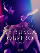 LUST 2 - Se busca obrero