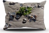 Sweet Living Sierkussen Sea Shells Rechthoekig