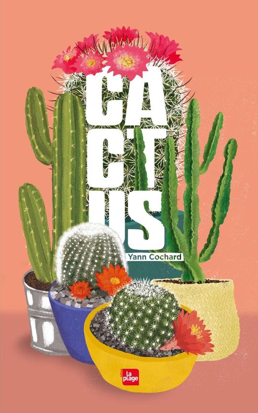 Cactus - cover