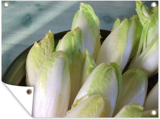 Endive belge fraîche et croquante dans un bol Poster de jardin 160x120