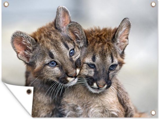 Décoration de Jardin Deux bébés Puma se blottissant l'un contre l'autre -  40x30 cm -... | bol