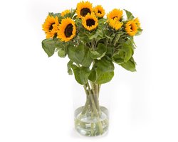 Zonnebloemen - Boeket Zonnebloemen - 10 stelen