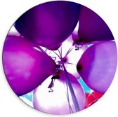 Dibond Wandcirkel - Paarse Ballonnen in de Lucht - 60x60cm Foto op Aluminium Wandcirkel (met ophangsysteem)